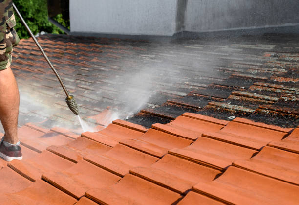 Best Residential Pressure Washing Services  in Panthersville, GA